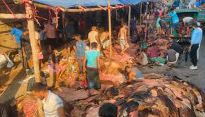 চট্টগ্রামে কোরবানির কাঁচা চামড়া বিক্রি শুরু, আড়তগুলো সরগরম